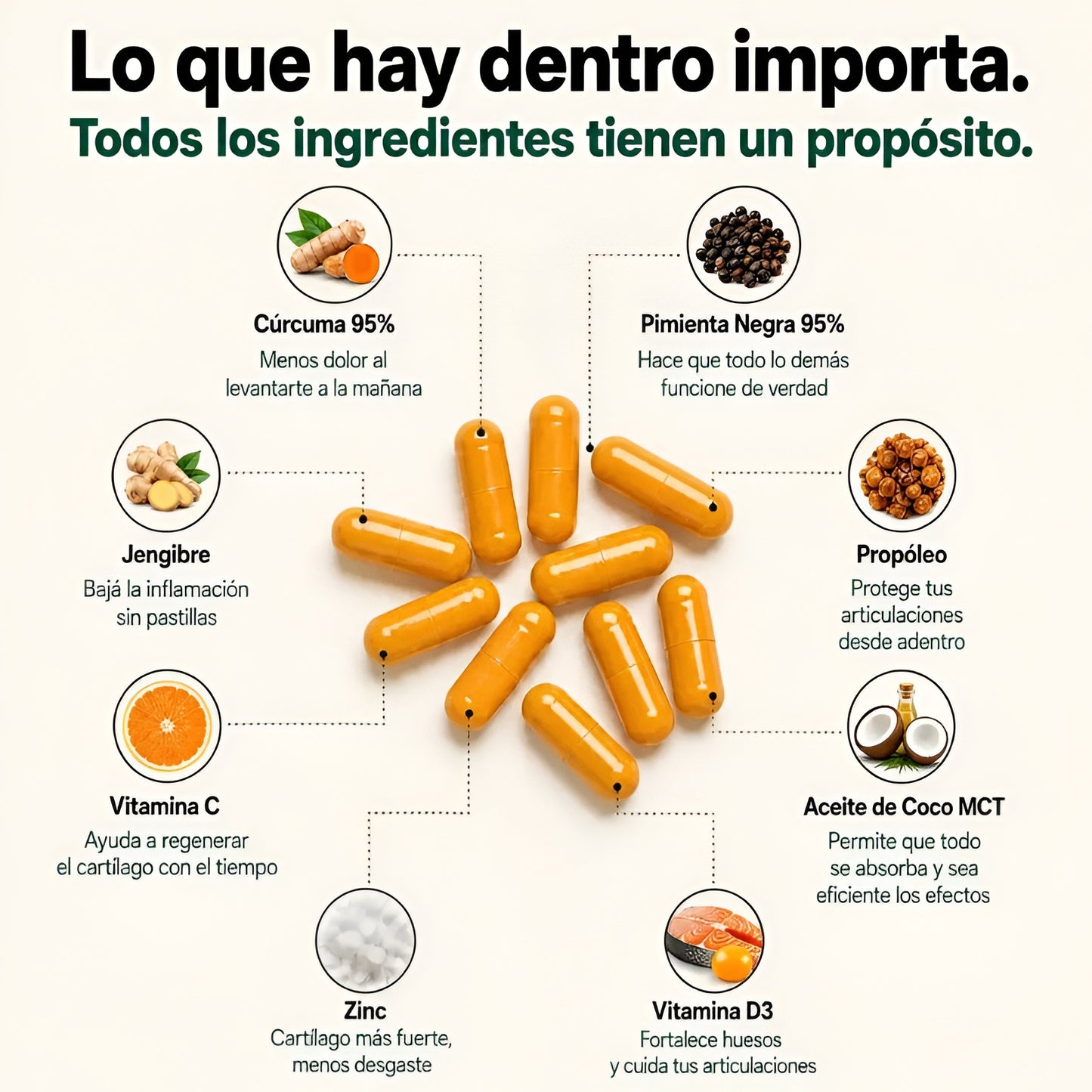 Raíz Vital - Cápsulas de Triple Acción Antinflamatoria