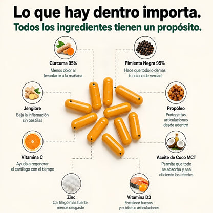 Raíz Vital - Cápsulas de Triple Acción Antinflamatoria